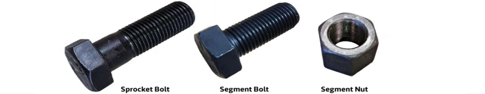 segment-nut