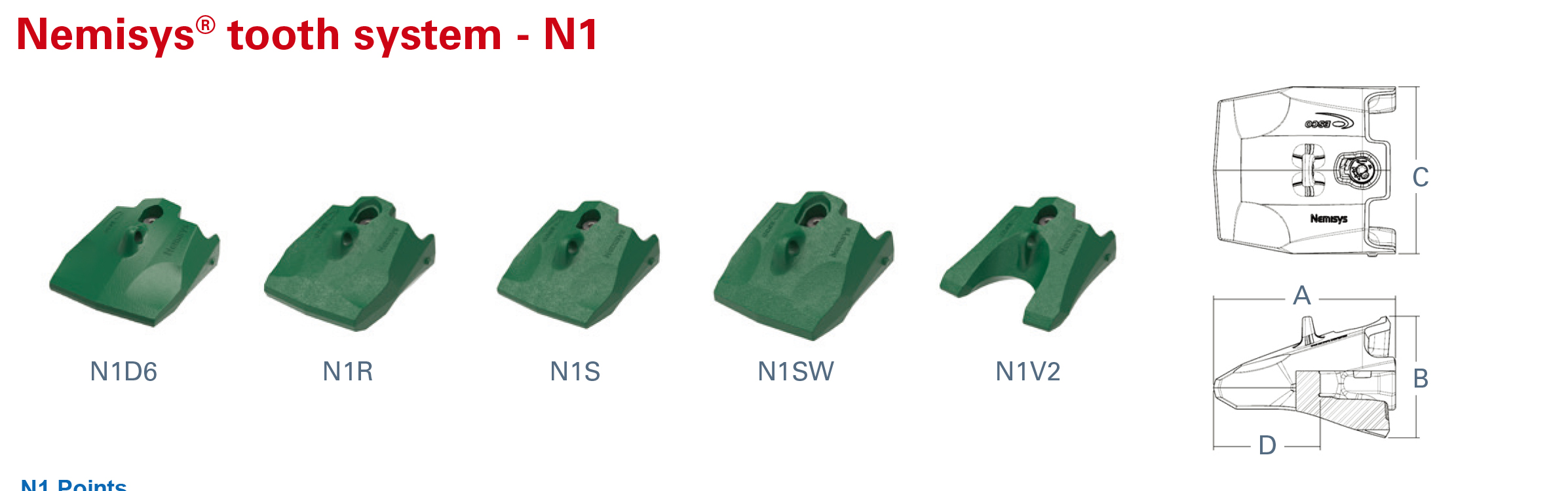 N1 teeth